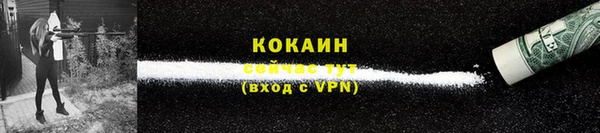 прущие грибы Навашино