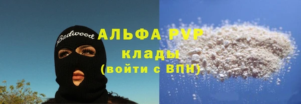прущие грибы Навашино
