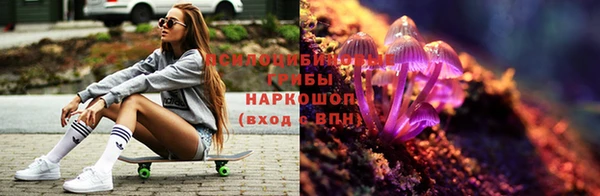spice Михайловск