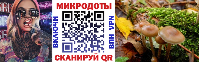 Псилоцибиновые грибы Psilocybe  Кулебаки 