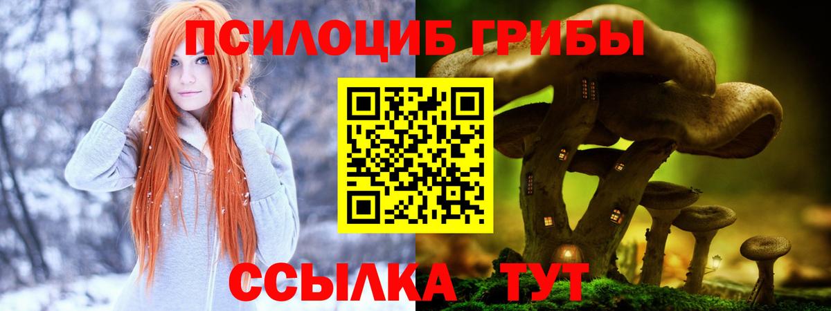 Кулебаки  Галлюциногенные грибы Psilocybe  как найти закладки  Вход с VPN 